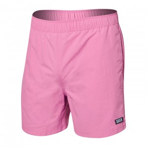 Saxx Go Coastal Shorts | 9536-LEVDP