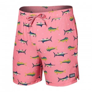 Saxx Oh Buoy Shorts | 0698-BCWIH