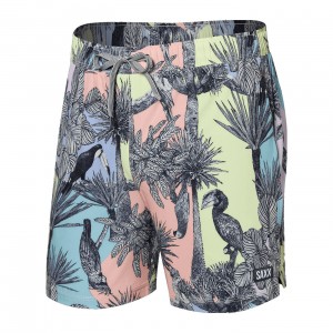 Saxx Oh Buoy Shorts | 1803-LEWPB