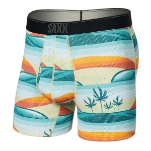 Saxx Quest Underwear | 3925-PEVTO