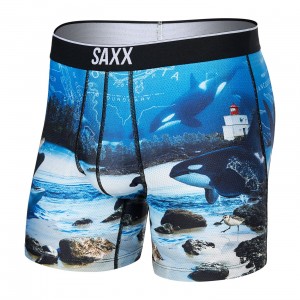 Saxx Volt Underwear | 0254-LZDET