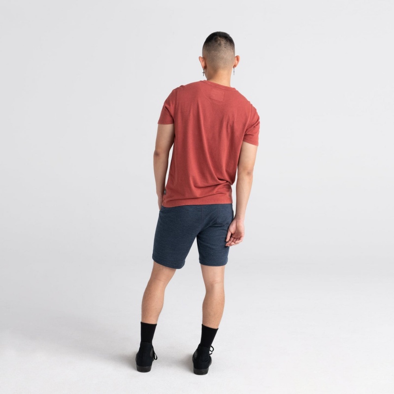 Saxx 3Six Five Shorts | 1375-SBILY