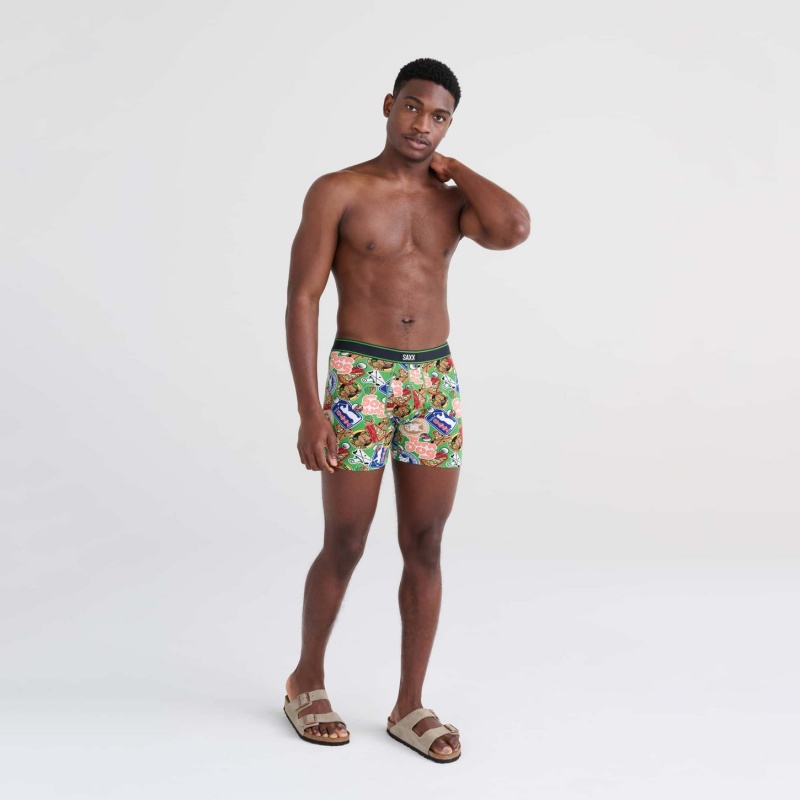 Saxx Daytripper Underwear | 0247-WNYLT