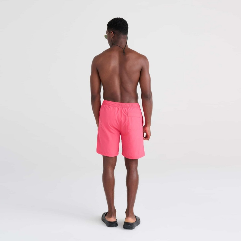 Saxx Go Coastal Shorts | 4572-IVQNX